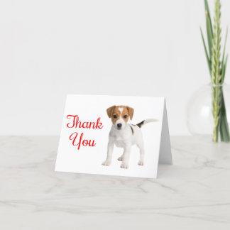 Vielen Dank Jack Russell Terrier Puppy Hund Note C Dankeskarte