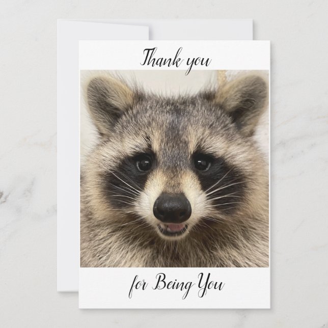 Vielen Dank Karte mit "Animal" der Raccoon. (Vorderseite)