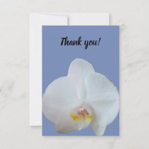 Vielen Dank Karte mit Foto einer weißen Orchidee