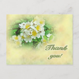 Vielen Dank Multiflora Rose Postkarte