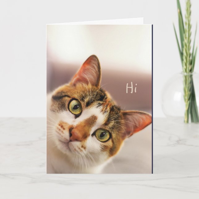 Vielen Dank, Niedlich Cat Kitten Animal Card Karte (Vorderseite)