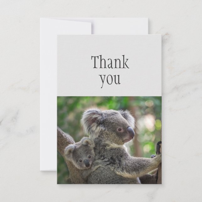 Vielen Dank Niedlich Little Koala Bear & Joey Dankeskarte (Vorderseite)