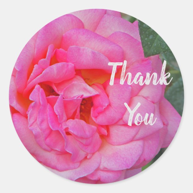Vielen Dank Pink Rose Blume Foto Wertschätzung Runder Aufkleber (Vorderseite)