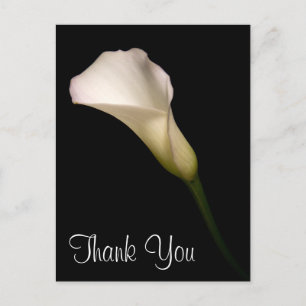 Vielen Dank Postkarte