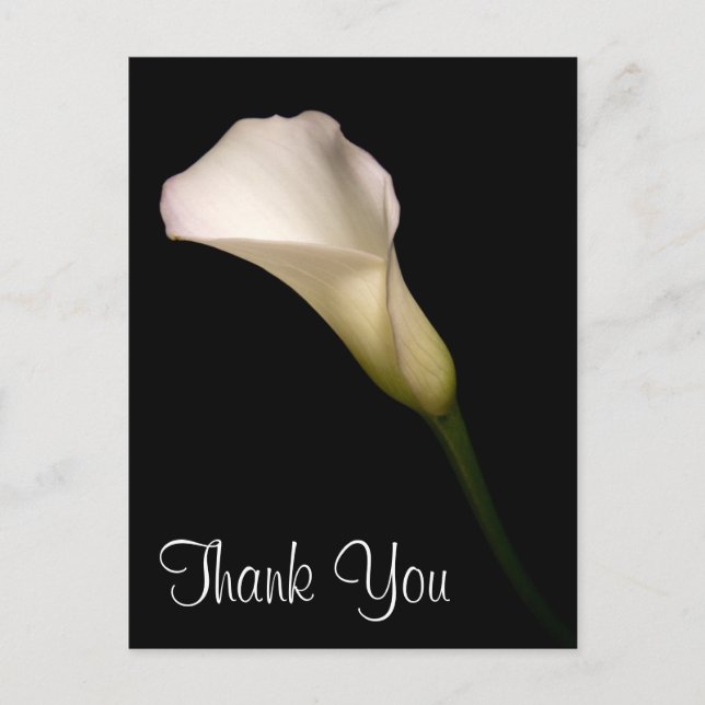 Vielen Dank Postkarte (Vorderseite)