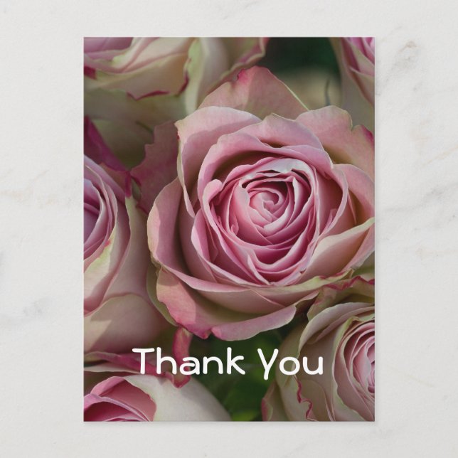 Vielen Dank, Postkarte (Vorderseite)