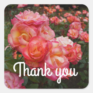 Vielen Dank Rainbow Sorbet Rose #4 Stickers