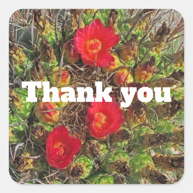 Vielen Dank Red Cactus Blume Desert Pflanze Foto Quadratischer Aufkleber (Vorderseite)