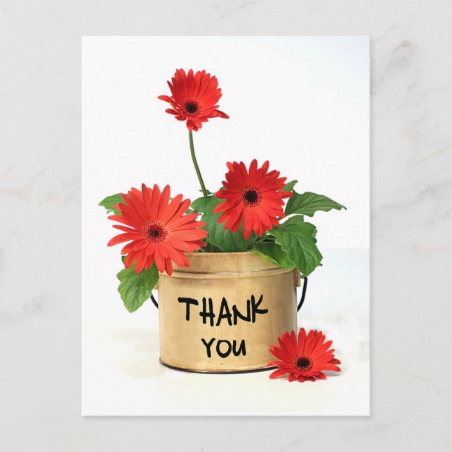 Vielen Dank Red Gerbera Daisy Blume Pot Post Card Postkarte (Vorderseite)