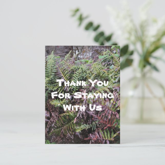 Vielen Dank Rental House Ferns Forest Cabin Guest Postkarte (Stehend Vorderseite)