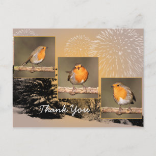 Vielen Dank Robin Tryptych Postcard Postkarte