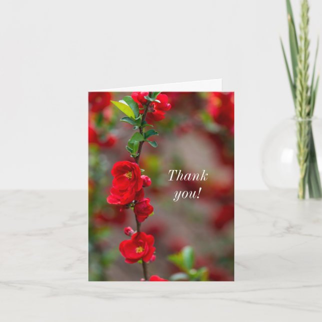 Vielen Dank, Scarlet Line Dankeskarte (Vorderseite)