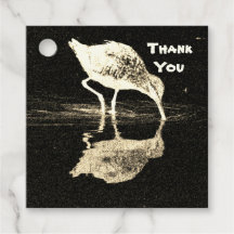 Vielen Dank Schwarz-weiß Beach Bird mit Reflektion