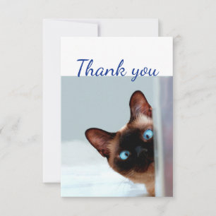 Vielen Dank Spaß neugierige Pisskatze Kitten Tier Dankeskarte