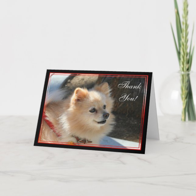 Vielen Dank Spitz Grußkarte Dankeskarte (Vorderseite)