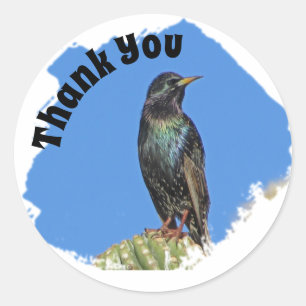 Vielen Dank Starling und Cactus Wertschätzung Runder Aufkleber