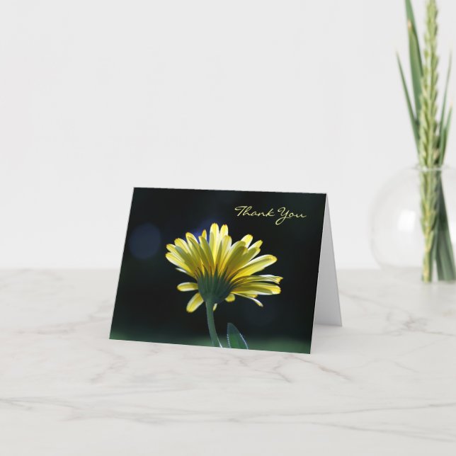 Vielen Dank Sunlit Yellow Daisy Schöne Blume Dankeskarte (Vorderseite)