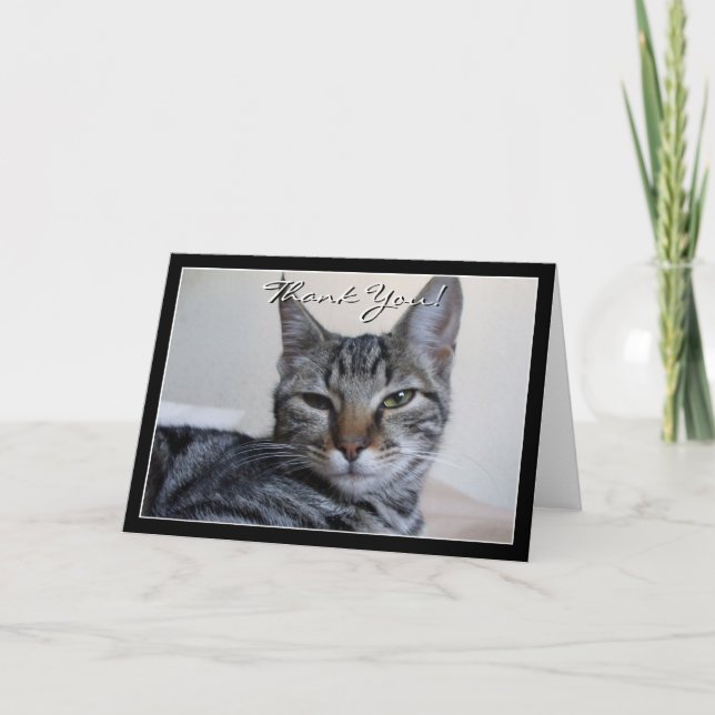 Vielen Dank Tabby Cat Grußkarte Dankeskarte (Vorderseite)
