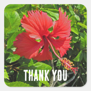 Vielen Dank Tropical Blume Pink Floral Aufwertung Quadratischer Aufkleber