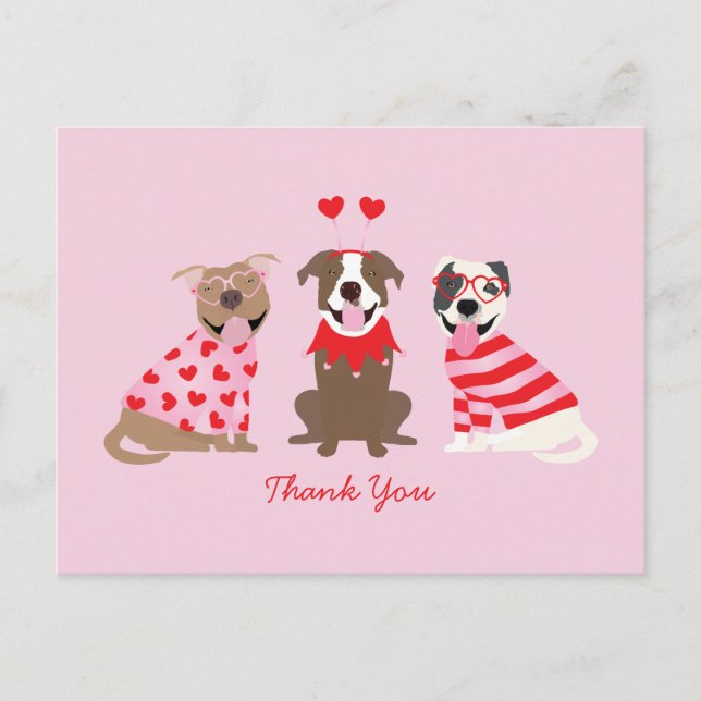 Vielen Dank, Valentinstag American Pit Bull Terrie Postkarte (Vorderseite)