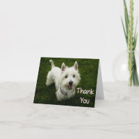 Vielen Dank West Highland Terrier Welpen-Karte