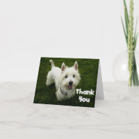 Vielen Dank West Highland Terrier Welpen-Karte