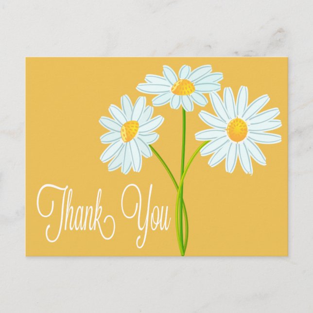 Vielen Dank White Daisy Blume Orange Post Card Postkarte (Vorderseite)