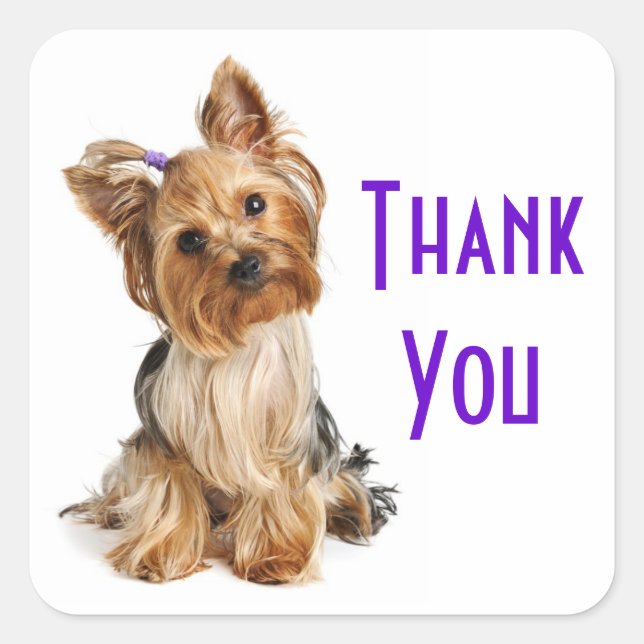 Vielen Dank Yorkshire Terrier Welpe Hund Stickers (Vorderseite)