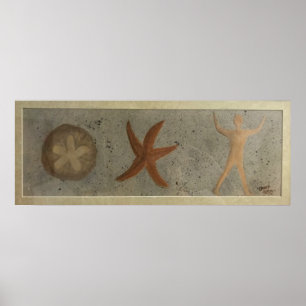 Vielfache von 5, Sanddollar-Seestern-Personenposte Poster
