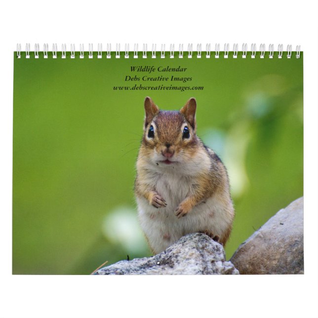Vielfalt der Tierwelt 2026 Kalender (Titelbild)