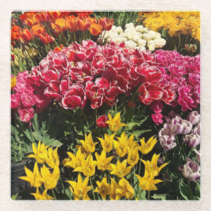Vielfalt der Tulipen Glasuntersetzer
