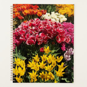 Vielfalt der Tulipen Planer