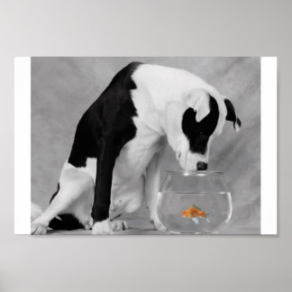 Vielleicht etwas zu essen? poster