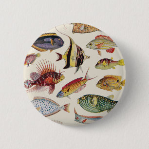 Vielzahl der Fische Button