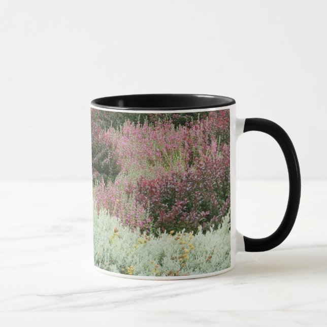 Vielzahl von Heide Tasse (Rechts)