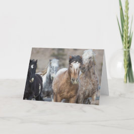 Vier Adoptionen - Galloping to Freedom Grußkarte Karte