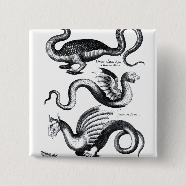 Vier Arten Drache Button (Vorderseite)