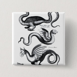 Vier Arten Drache Button