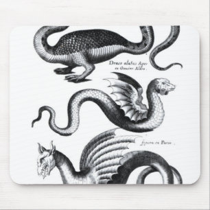 Vier Arten Drache Mousepad
