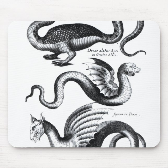 Vier Arten Drache Mousepad (Vorne)