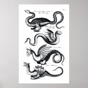 Vier Arten Drache Poster
