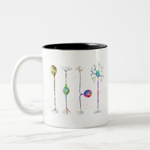 Vier Arten von Neuronen Zweifarbige Tasse