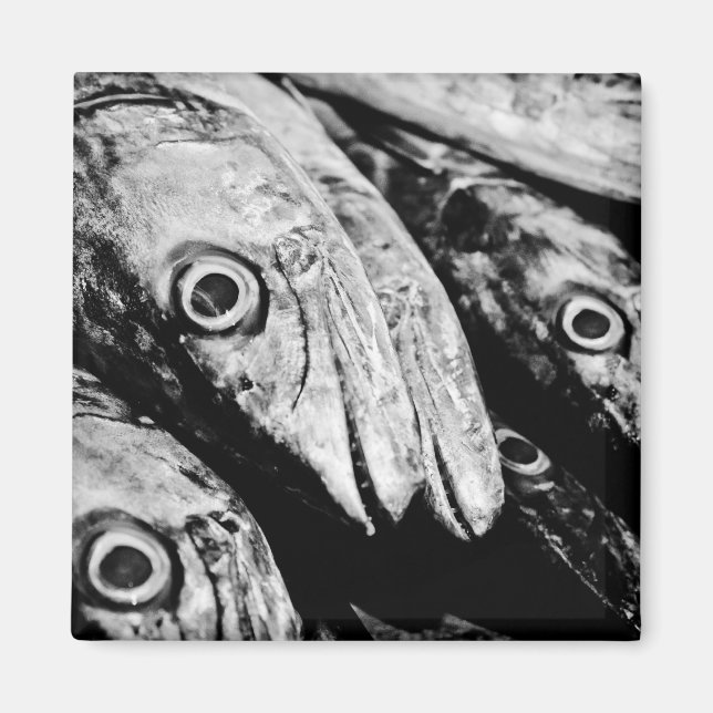 vier Augen Magnet (Vorne)