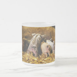 Vier Baby-Ferkel Mangalitsa Schweine, die Hintern Mattglastasse