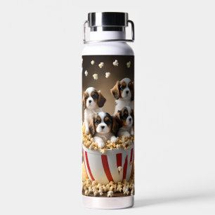 Vier Cavalier Spaniel Welpen im Popcorn, Trinkflasche