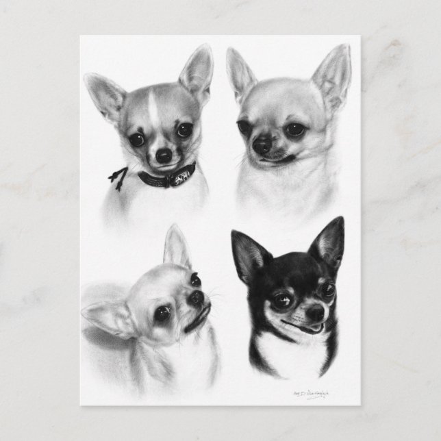 Vier Chihuahuas realistische Handgemälde Postkarte (Vorderseite)
