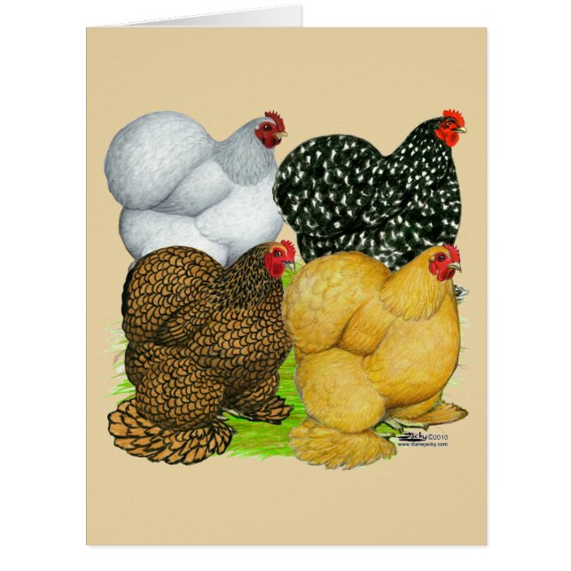 Vier Cochin Hens (Vorderseite)
