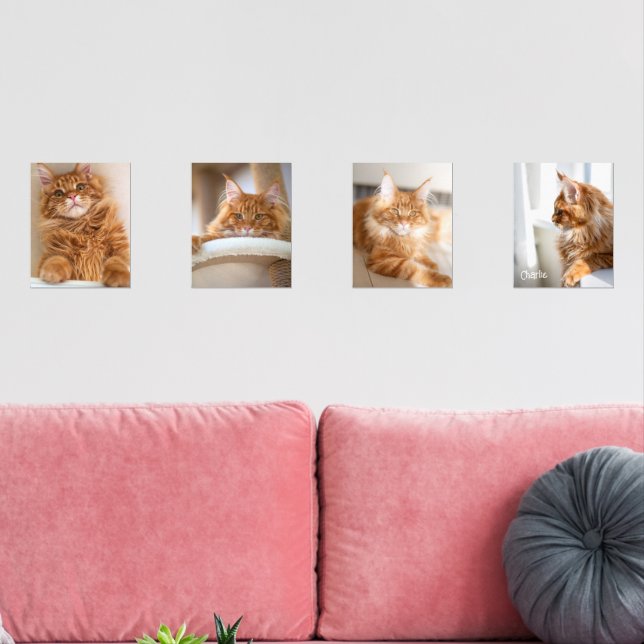 Vier Familienkatzen 8x10 Foto Bilderwand Sets (Wohnzimmer)