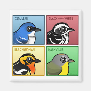 Vier Farb-Warblers Magnet