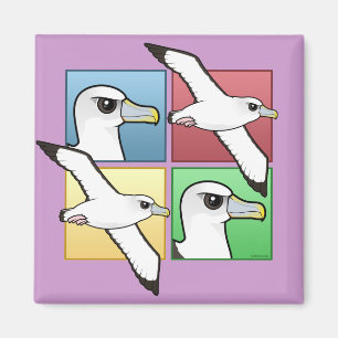Vier Farbalbatros Magnet